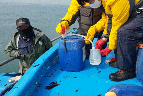 경기도의 김 양식장 불법 행위 단속 장면. (사진=경기도) 