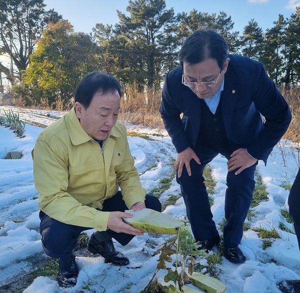 최문섭 대표이사(왼쪽)가 김병수 애월농협 조합장과 함께 피해 현장을 둘러보고 있다. (사진=)