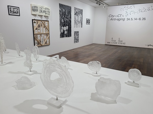 신한갤러리에서 열리는 'City-CT:Anti-aging' 전시 (사진=신한은행)