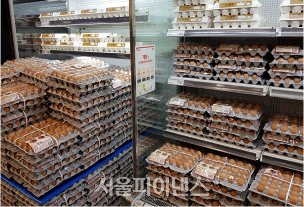 한 대형마트 안에 식용 계란이 진열돼 있다. (사진=서울파이낸스 자료) 
