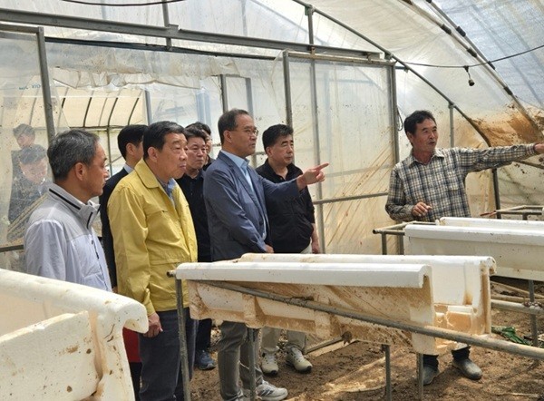 이찬우 NH농협금융지주 회장(가운데)이 21일 충남 홍성군 침수 피해를 입은 딸기 농가를 찾아 농업인의 피해 현황과 애로사항을 청취하고 있다. (사진=농협금융)