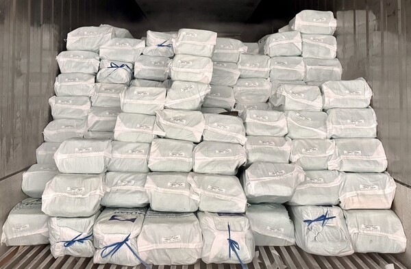 글로벌 종합상사 STX는 수산물 원자재의 해외 직수입 유통 사업에 새롭게 진출한다고 10일 밝혔다. 사진은 페루에서 수입한 냉동 대왕오징어 (사진=STX)