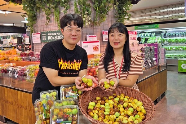 롯데마트 '사과대추'. (사진=롯데마트)