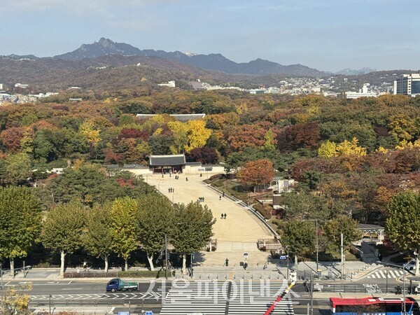 (사진=오세정 기자)