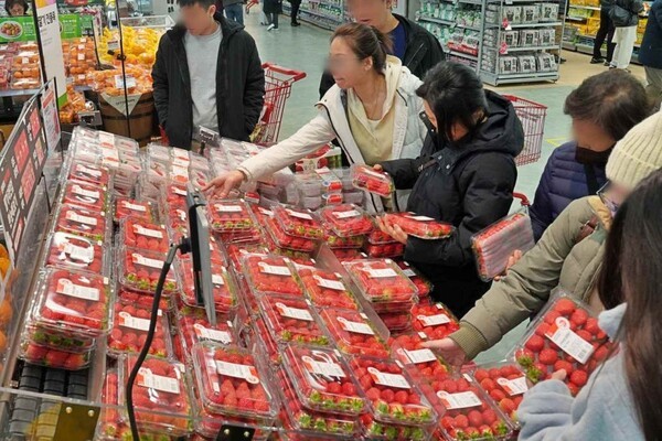 롯데마트 제타플렉스 서울역점 농산 매장 전경. (사진=롯데마트)