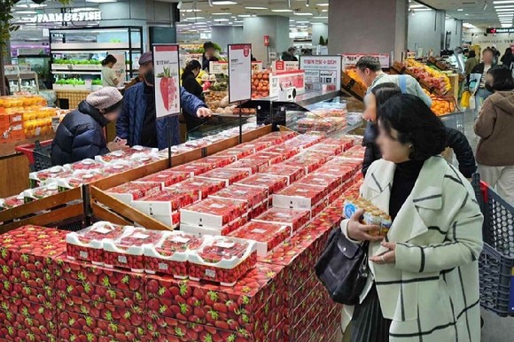 롯데마트 제타플렉스 잠실점 딸기 매대 전경. (사진=롯데마트)