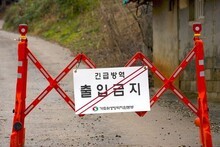 충남 ASF 첫 발생···방역 당국 초 비상